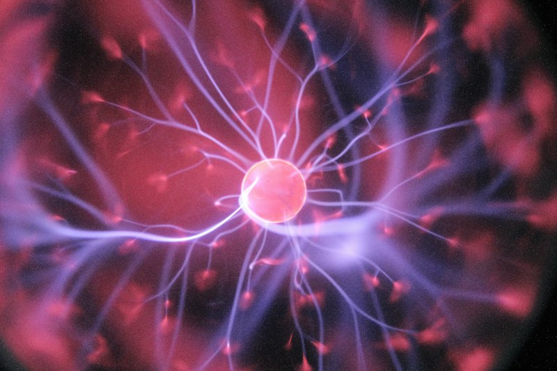 We Need to Talk About Chronic Distraction: What Neuroscience Reveals About Reclaiming Deep Focus